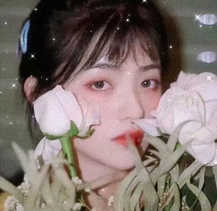 镜狮子