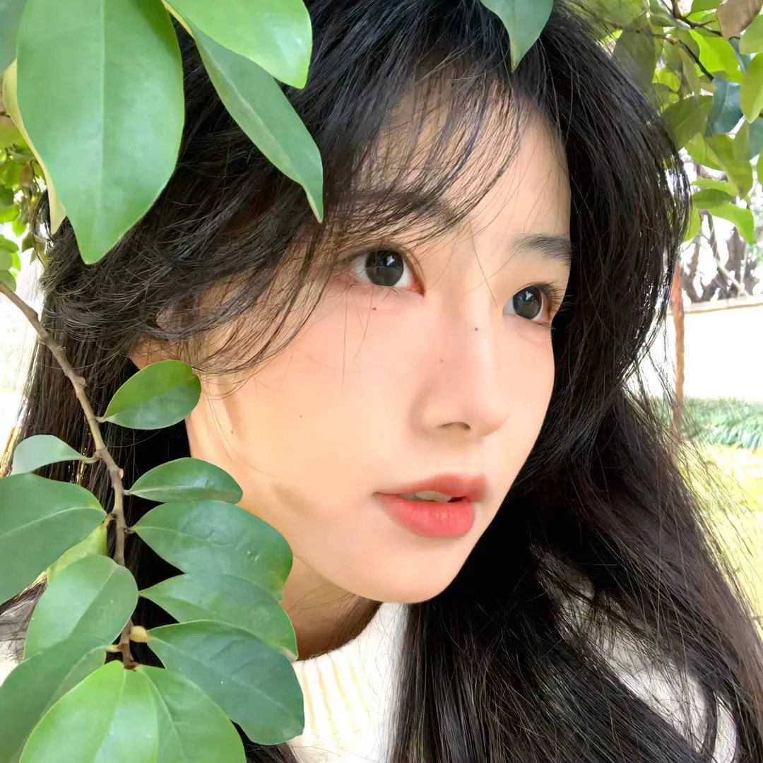 北极小迷狐:吉娜&尤克